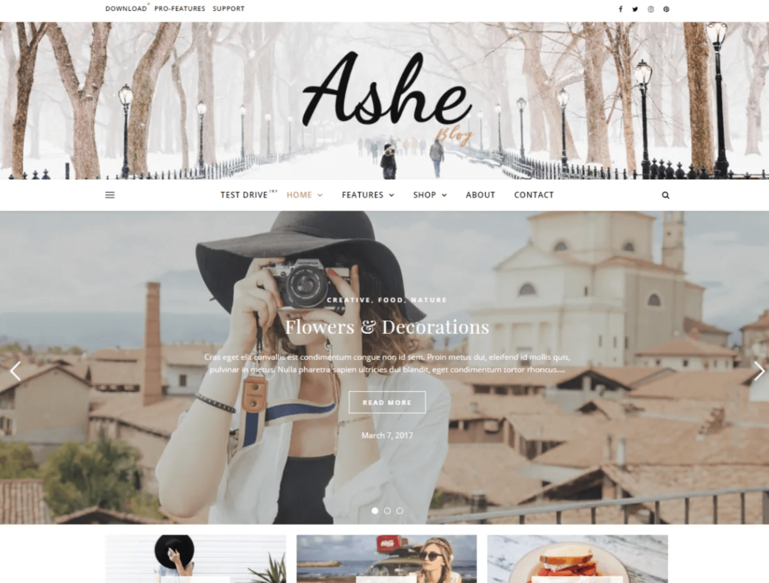 Ashe Wordpress Themes