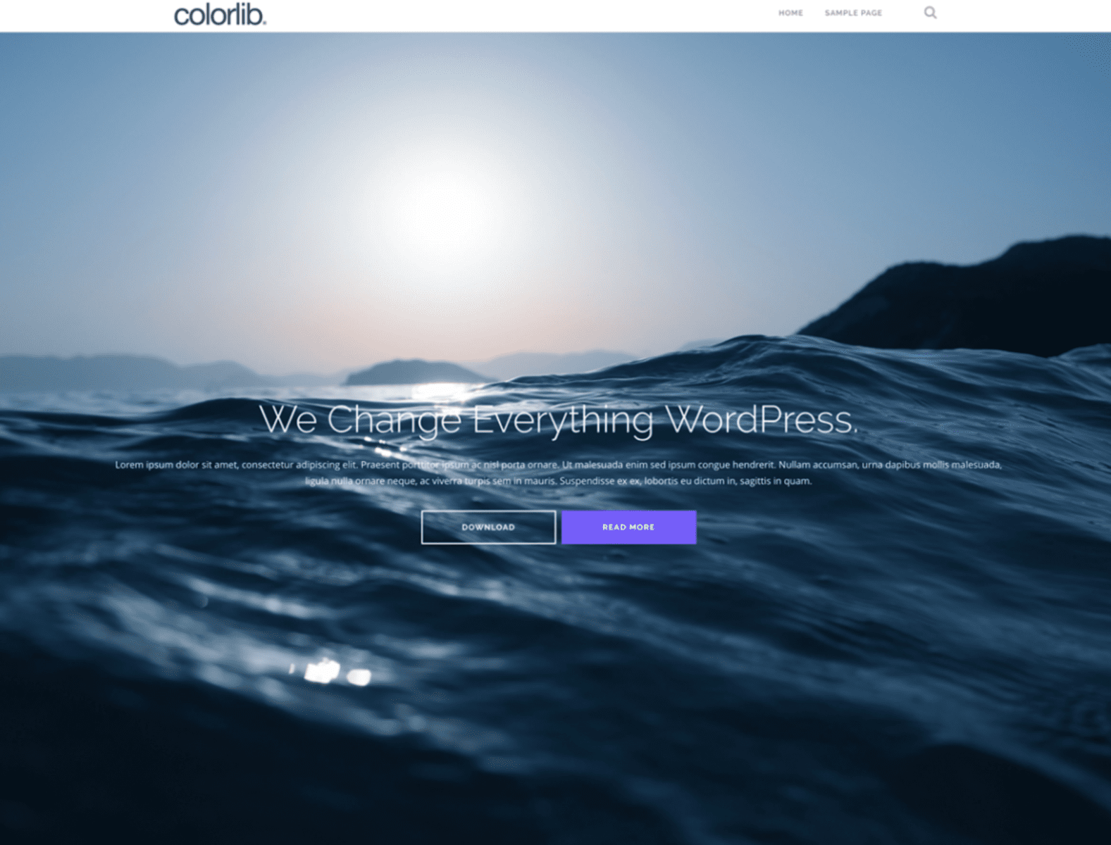 Shapely Wordpress Themes
