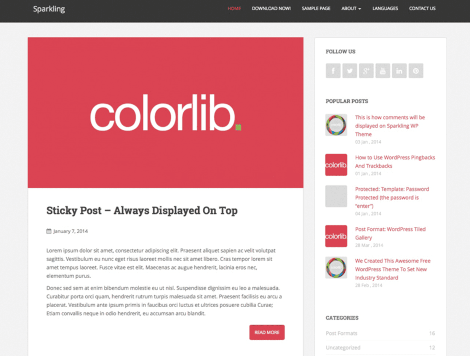Sparkling Wordpress Themes