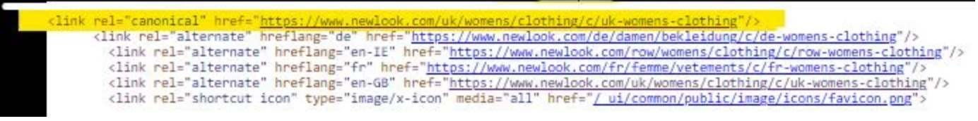 SEO Canonicalization